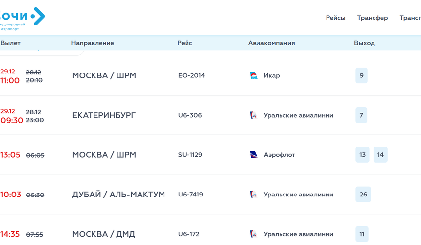 Из-за непогоды в аэропорту Сочи задержки до 15 часов