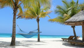 Массовые беспорядки отразились на туристах в Танзании