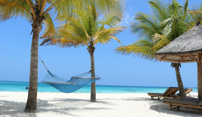 Массовые беспорядки отразились на туристах в Танзании