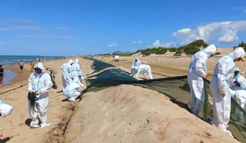 На пляжах Анапы убирают защитные валы