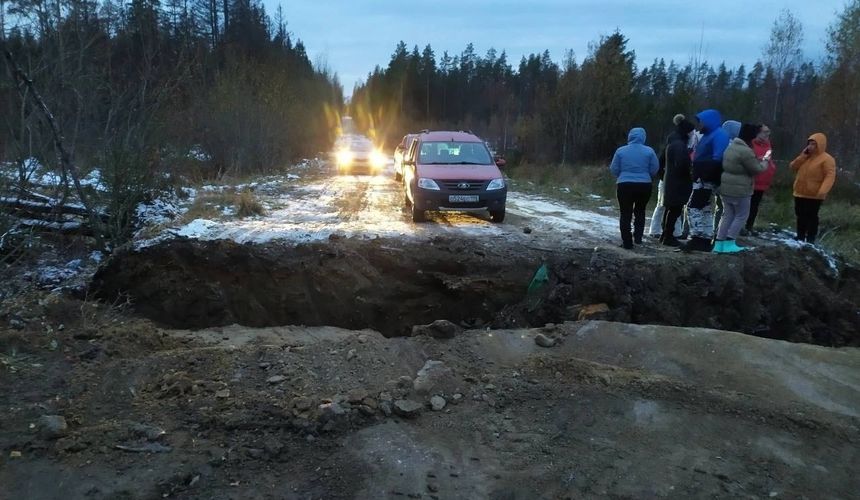 «Туристам тут не рады»: группа отдыхающих в Ленобласти попала в лесную западню