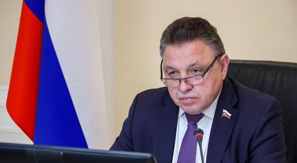 В Совфеде раскритиковали идею отслеживания авиадебоширов в аэропортах