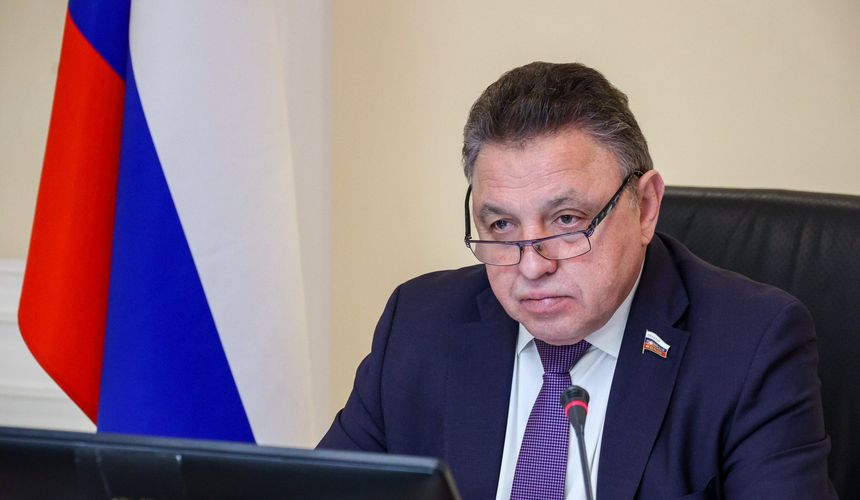 В Совфеде раскритиковали идею отслеживания авиадебоширов в аэропортах