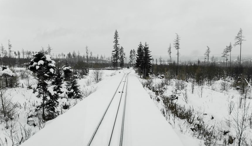 РЖД заморозили цены на билеты в «Сапсаны», которых практически нет