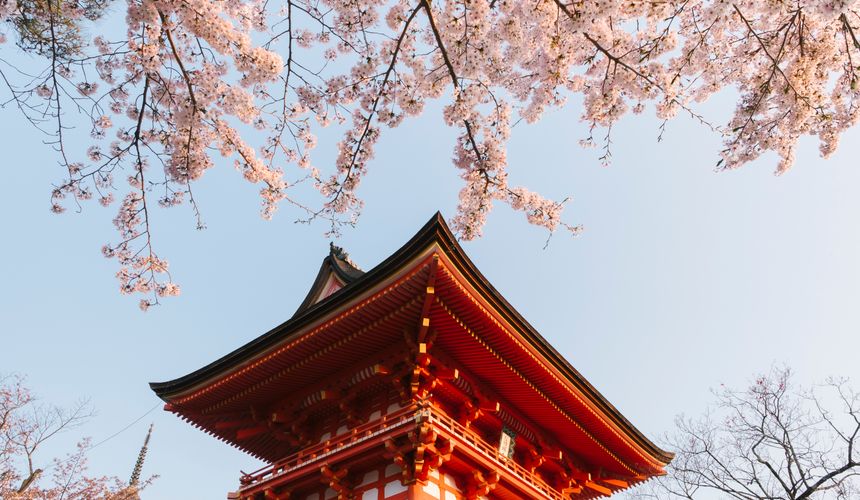 Туристы назвали маршруты, которыми удобнее всего добираться в Японию