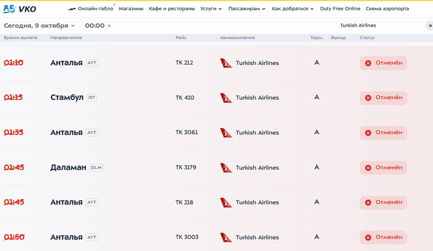 Turkish Airlines массово отменяет рейсы из-за ночного «ковра» во Внуково