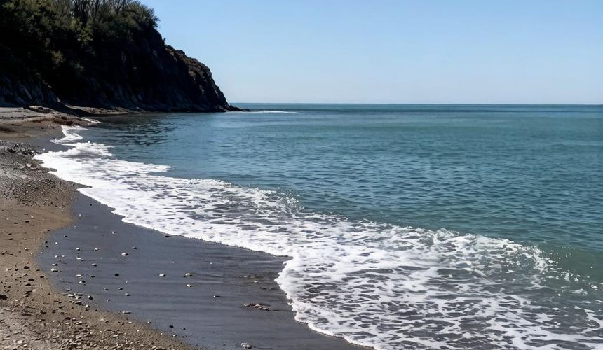 Туристы отменяют бронирования в Туапсе из-за разлива нефти