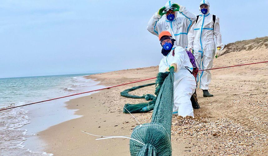 В Анапе 3 дня подряд не было выбросов мазута на пляжи