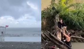 Сочи залили дожди, а на горнолыжных курортах выпал первый снег