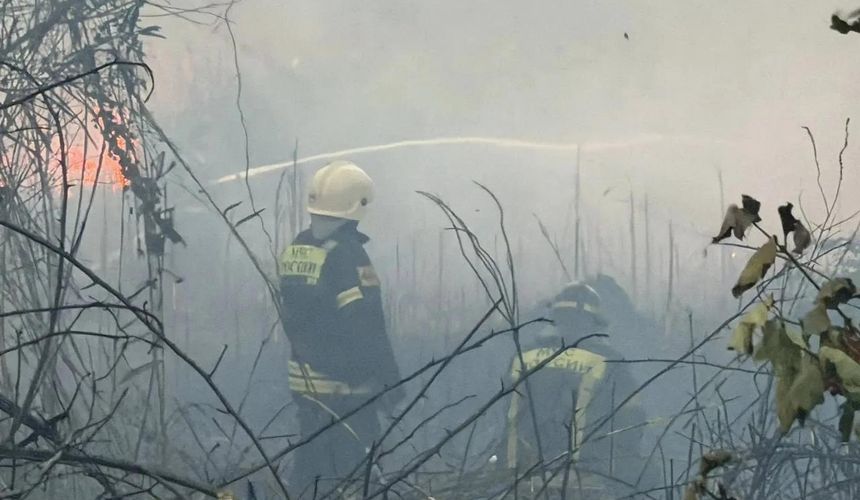 Мэр: масштабный пожар под Анапой почти потушен