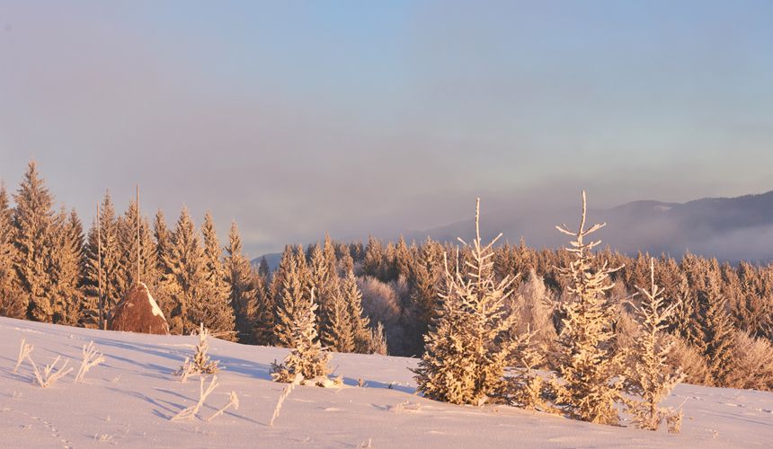 Поиски пропавших в Пермском крае туристов завершены 