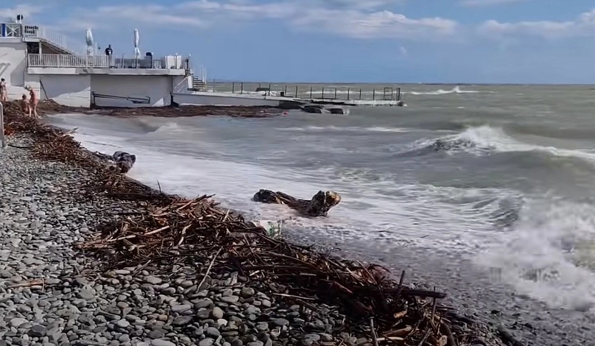 Туристы сообщили о заваленном ветками пляже в Сочи