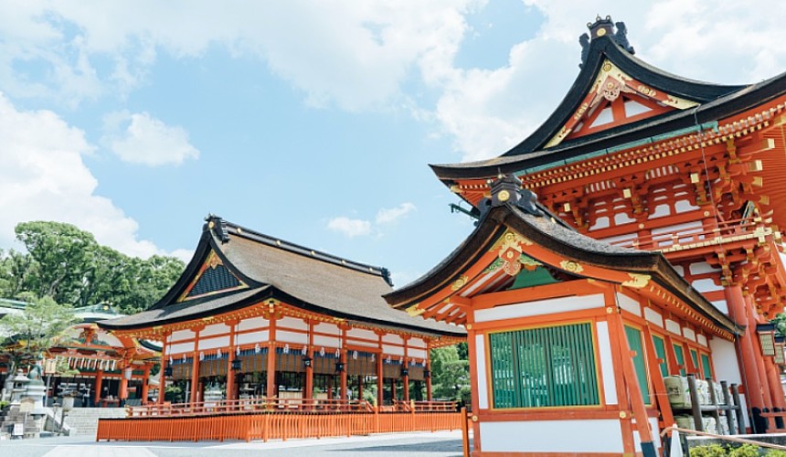 Туры в Японию снова доступны: туристов-нарушителей пригрозили высылать