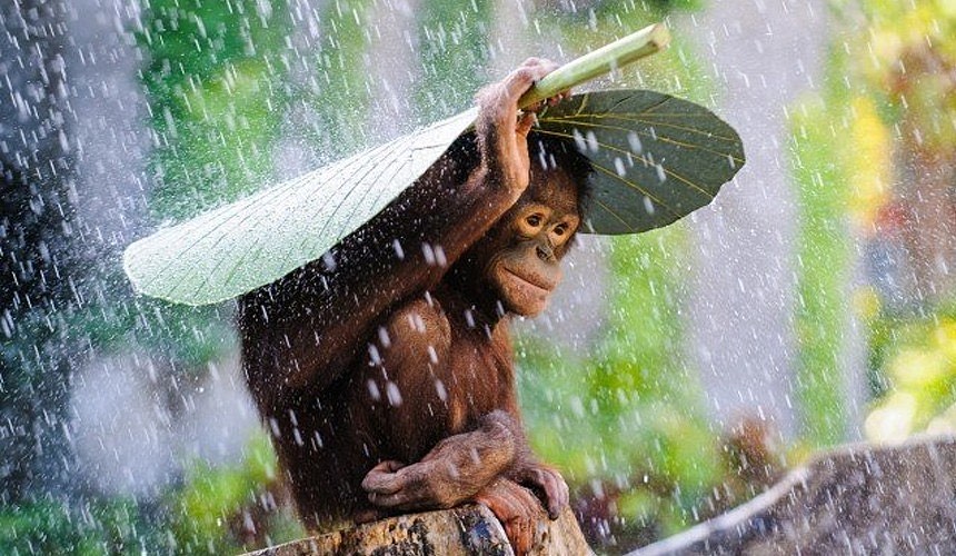 На Бали готовы принять туристов к сезону дождей