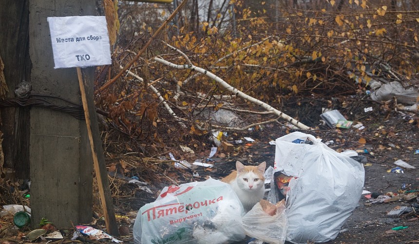 Отели России просят избавить их от мусорных поборов