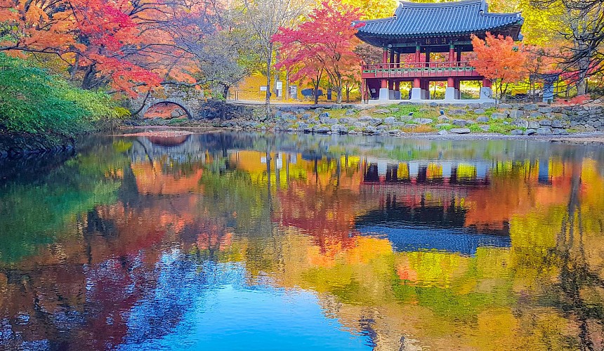 Экзотика традиций – выбираем необычные туры по Южной Корее