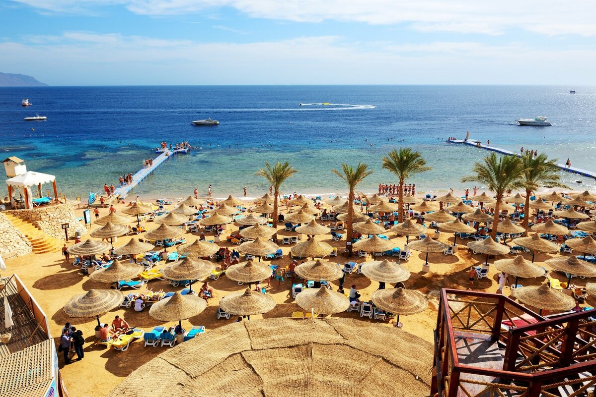 Частота авиарейсов на курорты Египта станет известна через месяц