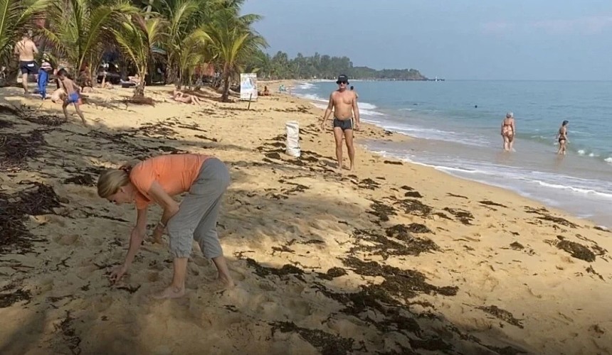 Российские туристы боролись с пластиком и стеклом на пляже в Самуи