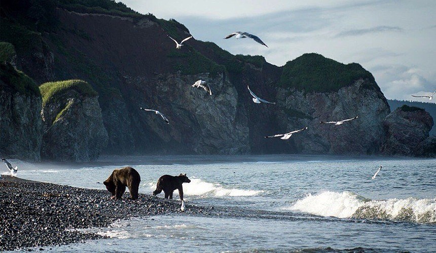 Море Сахалина Фото