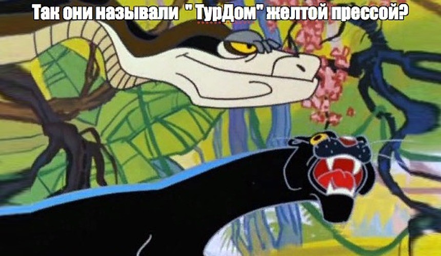 Запрет на въезд российским туристам на Сейшелы подтвердили в консульстве