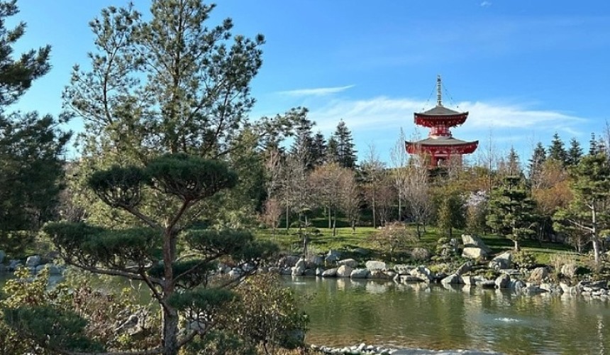 «Очередь километровая»: туристы жалуются, что не могут попасть в Японский сад в Краснодаре
