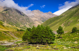 Visit Russia будет продвигать за границей кавказские курорты