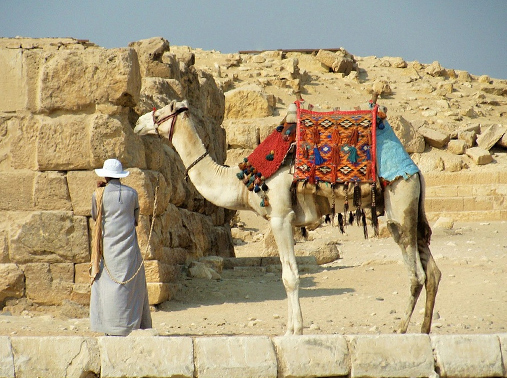 Власти Египта признали, что вернуть в страну туристов будет нелегко