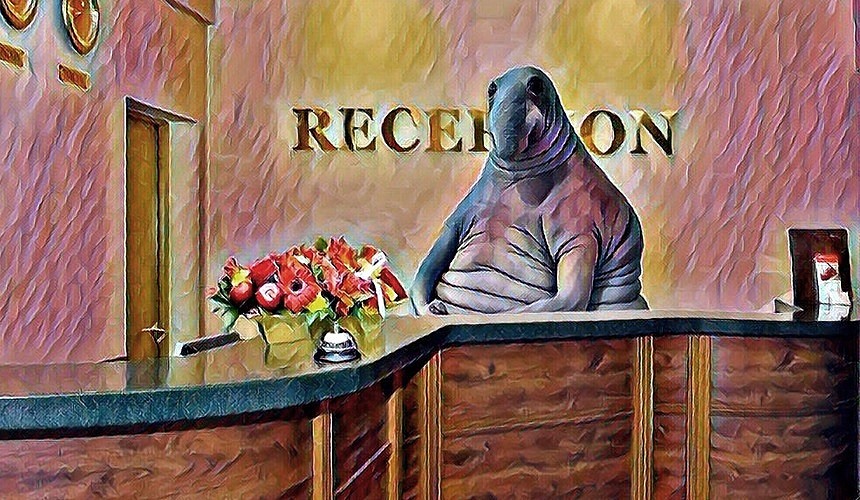 «Мы все превратились в Ждуна» – гостиницам нужна ясность, когда открываться