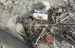 Ростуризм потратит более 141 миллиона рублей на волонтеров и картографирование замусоренных пляжей