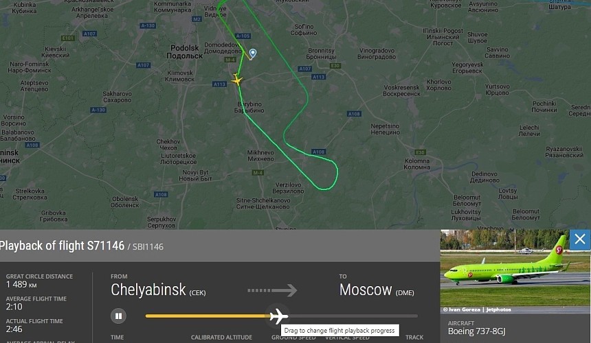 Лиса не дала рейсу из Челябинска приземлиться в Домодедово