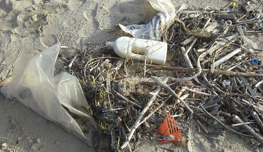 Ростуризм потратит более 141 миллиона рублей на волонтеров и картографирование замусоренных пляжей