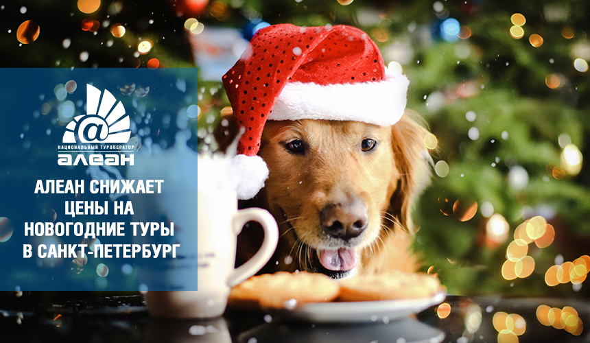 АЛЕАН снижает цены на новогодние туры в Санкт-Петербург