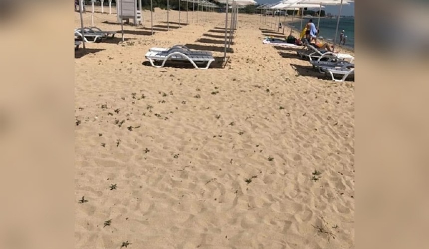 Туристы возмутились, что на крымском пляже продают тень