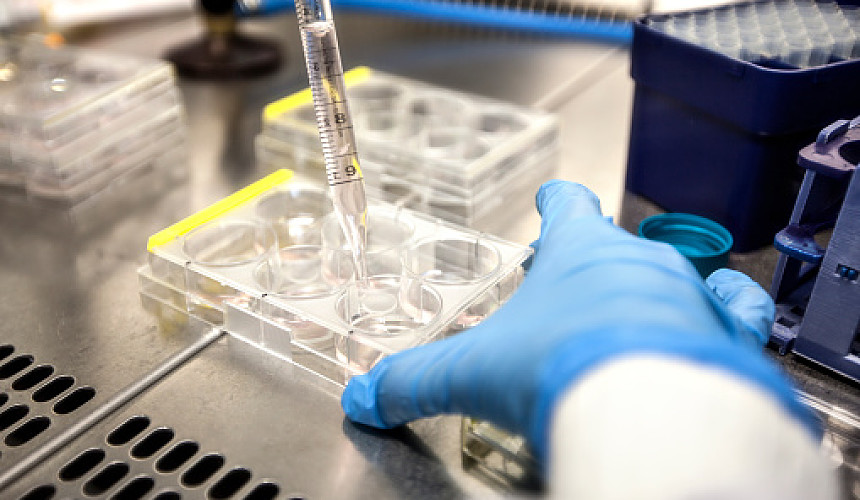 Израиль одобрил пока одну российскую лабораторию для сдачи теста на антитела