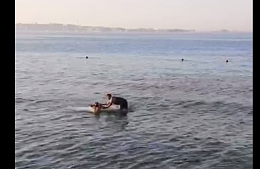 Появились новые видео с места нападения акулы на туристку из Австрии в Египте