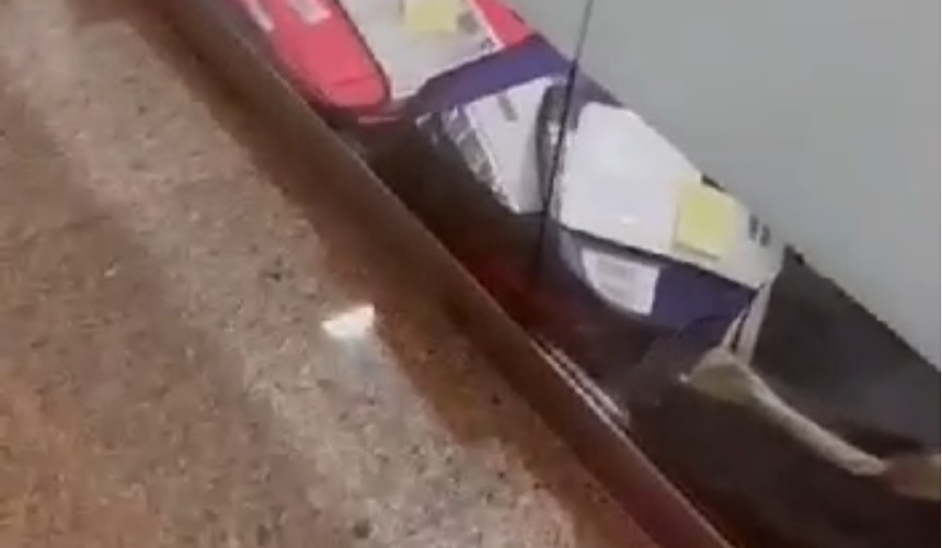 Туристы удивились, что их документы в визовом центре Испании хранят на полу