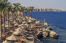 «Безлимитные» чартеры в Египет и ОАЭ позволят снизить стоимость туров