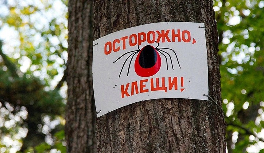 Эксперт рекомендует турагентам снабдить туристов памяткой перед поездкой на Алтай