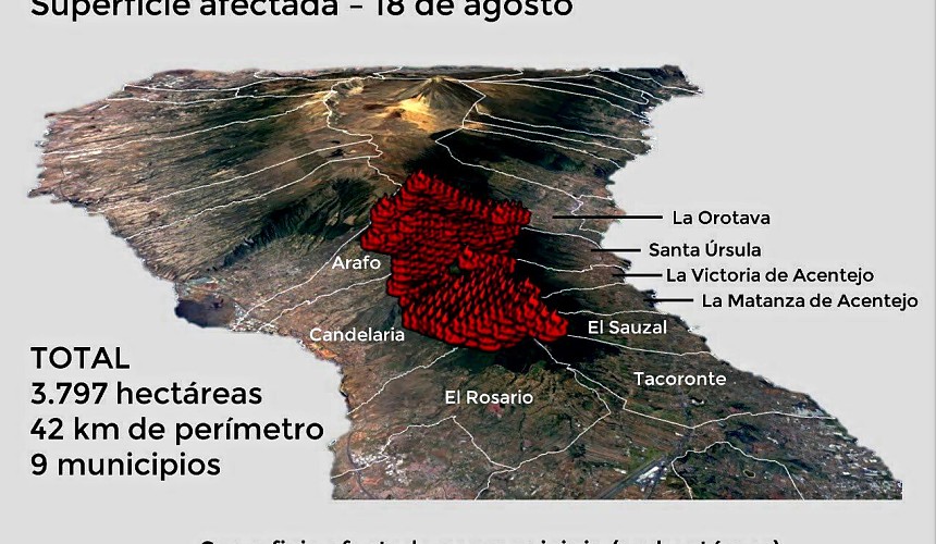 Лесные пожары на Тенерифе угрожают столице: идет эвакуация 
