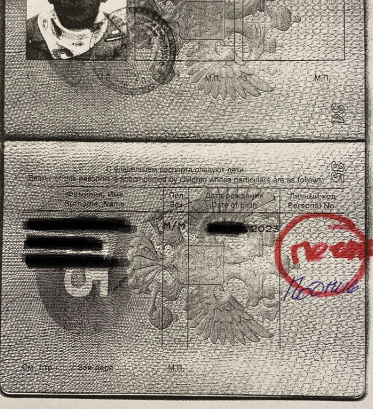 0602_Пулково2.png