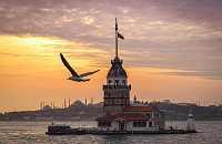 «Аэрофлот» подтвердил отмену ПЦР-тестов для въезда в Турцию