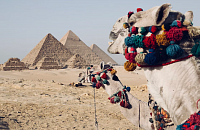 Рейсов на курорты Египта из Москвы станет больше