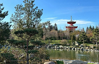 «Очередь километровая»: туристы жалуются, что не могут попасть в Японский сад в Краснодаре