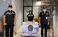 Ввоз сосисок в Таиланд признали контрабандой
