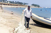 В Хургаде снимают защитные сети от акул на пляжах отелей