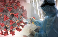В Роспотребнадзоре опровергли обнаружение в России африканского штамма коронавируса