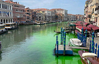 В Венеции кто-то подкрасил воду в Гранд-канале
