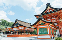 Туры в Японию снова доступны: туристов-нарушителей пригрозили высылать