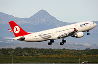 Источник: Турция разрешила Turkish Airlines возить туристов из России