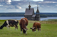 Правительство поддержит сельский туризм в России грантами